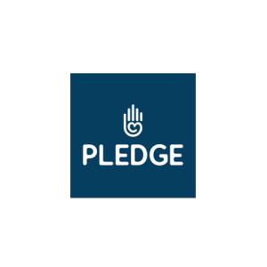 image of PLEDGE: VUB participates in research on politics of grievance and democratic governance